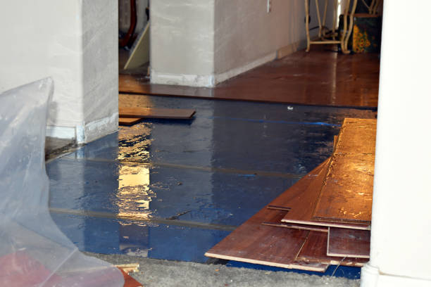 Professional Water Damage Restoration technician working in Wolf Creek, OR